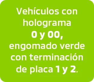 holograma-0