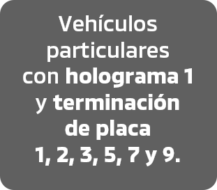 holograma-1